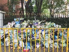 -上海市世外小学