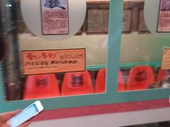 -猫咪博物馆(顶澳仔猫街店)