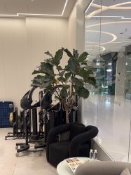 -Meng Lang 梦郎白金店