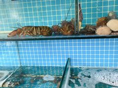 水产区-兆辉木炭海鲜烧烤·海鲜小炒