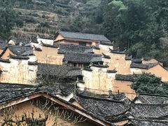 -杨家堂村