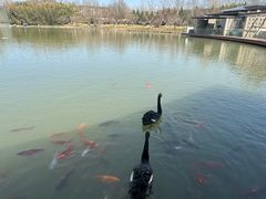 -春晖园度假酒店温泉