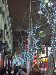 -梅龙镇酒家·宴会厅(南京西路总店)