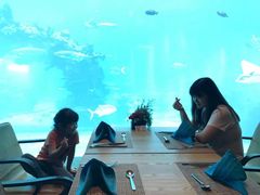 -海棠湾洲际-涛·海底餐厅·美人鱼·自助餐·海底隧道