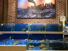 水产区-姜君·千岛湖鱼头馆(浦东大道店)