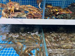 -大锅强·蒸海鲜青岛菜(吾悦广场店)