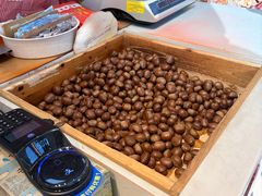 -阿男野栗王(金门路店)