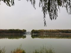 -大兴滨河森林公园