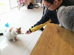 -平行世界·猫咖(首经贸店)