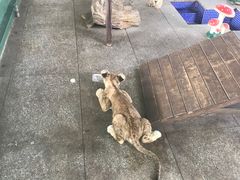 -秦皇岛野生动物园