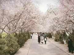 -山东师范大学(千佛山校区)