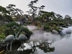 -罗红摄影艺术馆