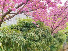 -北京颐和宾馆