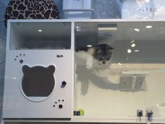 -萌兽医馆·眼科·异宠专科(三里屯店)