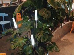 -润园四季椰子鸡火锅(南山海岸城店)