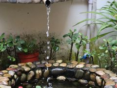 -茶米人台湾料理·精致快简餐
