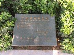 -广州中山纪念堂