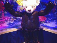 iphone_upload_pic-成都泰迪熊博物馆