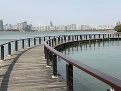 -长广溪湿地公园