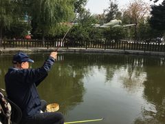 -酷鱼垂钓CLUB(朝阳区博大路店 )