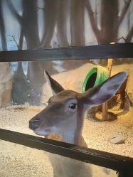 -酷嗒动物文化乐园(cutezoo西溪乐天城店)