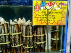 -蚝专家(北滘店)