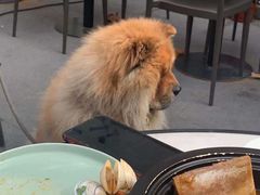 -Ginger(兴国路店)