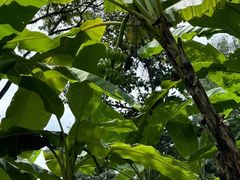 -大象粑粑造纸公园