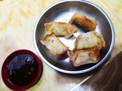 向群锅饺-向群锅饺(登高路店)
