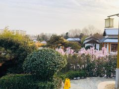 -郑州银基黄帝宫御温泉