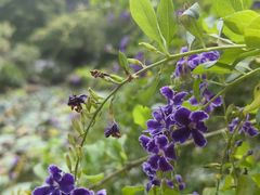 -广州神农草堂中医药博物馆
