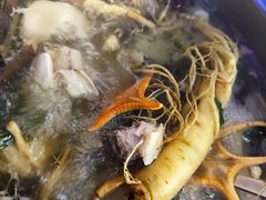 -千岛蚝高压锅生蚝·人参火锅(白云万达店)