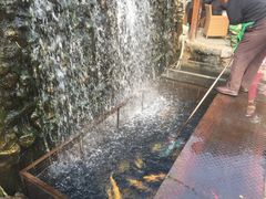 -京北渔家傲