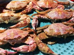 -蚝魁竹笼蒸生蚝 余杭店