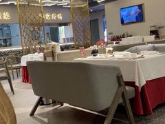 -阿五黄河大鲤鱼(海尚店)