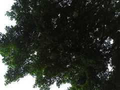 -南宁南湖公园