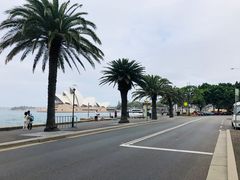 -悉尼海港大桥
