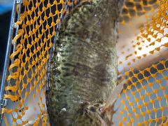 -盒马鲜生(曜一城店)