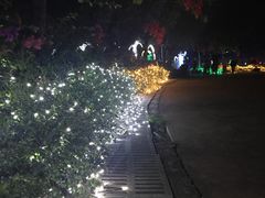 -亚龙湾国际玫瑰谷
