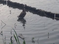 -中国浦东干部学院