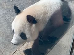 -石家庄市动物园