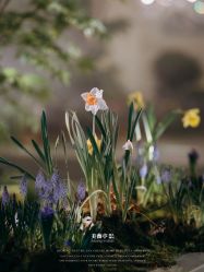 -美薇亭婚礼顾问