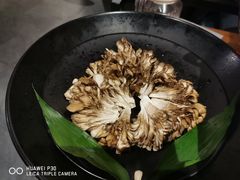 有机舞菇-煲宫猪肚鸡(晶品店)