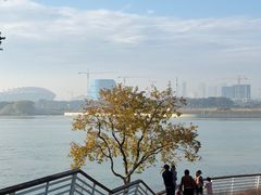 -贡湖湾湿地公园