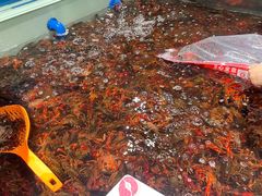 -永辉超市(嘉定宝龙广场店)