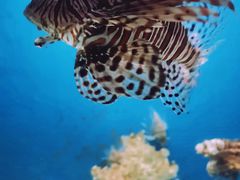 -北海·海洋之窗