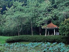 -火炉山森林公园