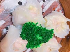 -海联潮港城