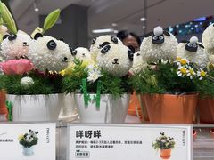 -鹿岛生活(熙地港店)