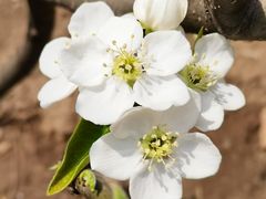 -天津东丽湖风景区
